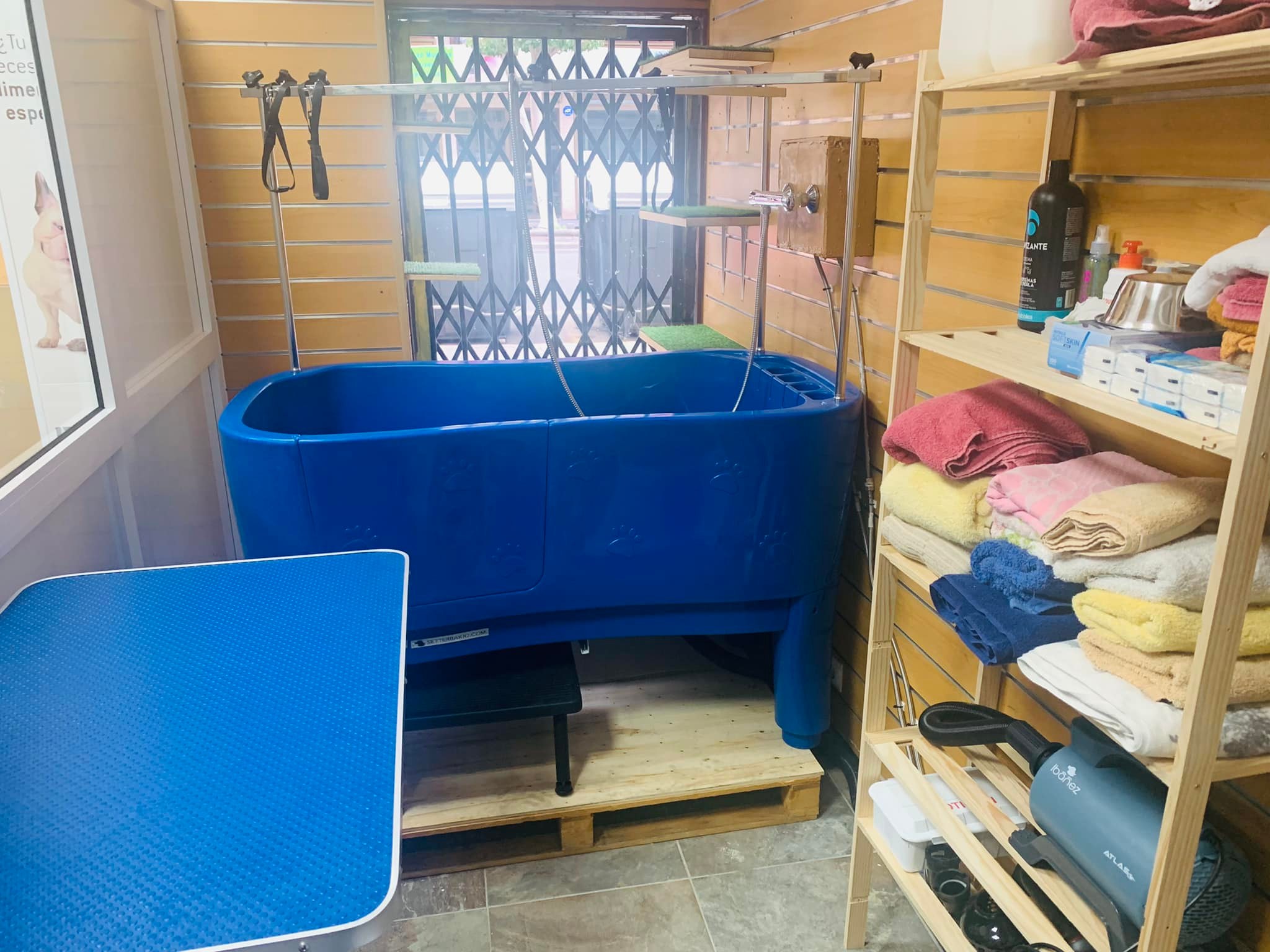 Servicio de peluquería para perros