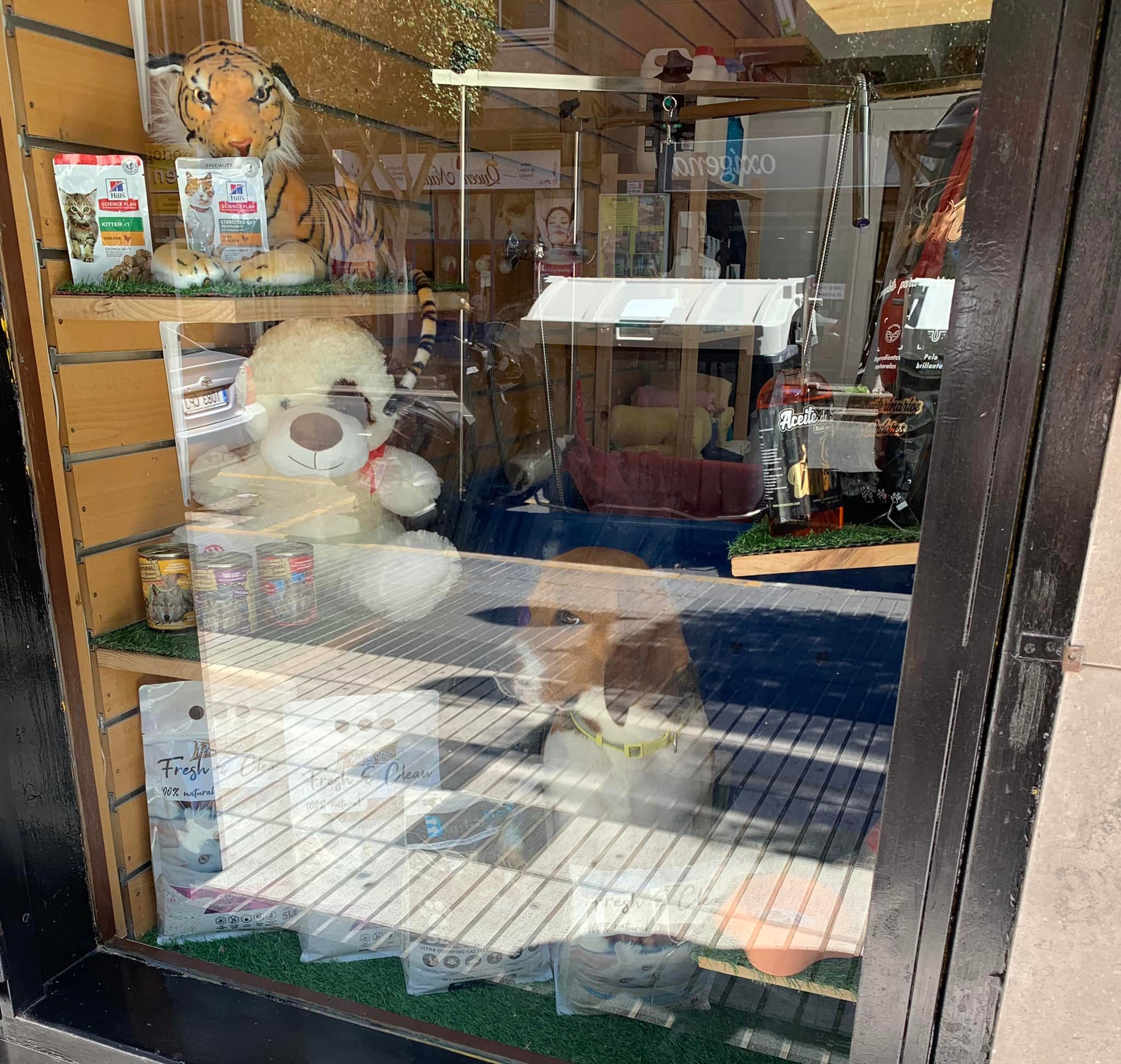 Tienda de animales con productos de alimentación al mejor precio