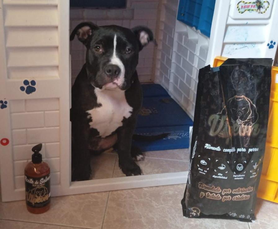 Tienda de alimentación de animales en Las Palmas